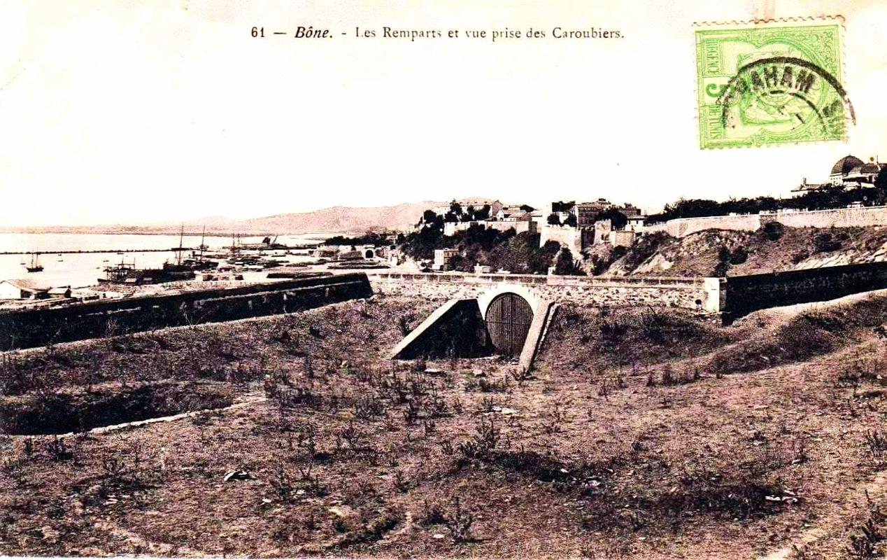 Bone - Les Remparts et Vue des Caroubiers.jpg